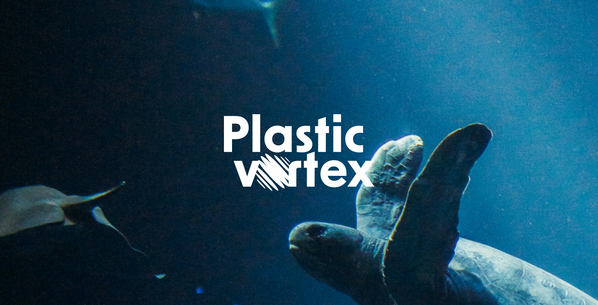 Illustration du projet Plastic Vortex